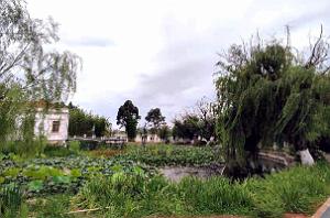 KUNMING - Parc Daguan - 66